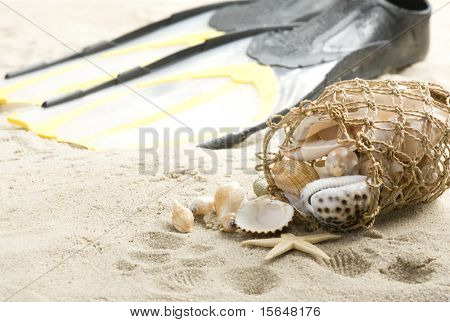 Muscheln und Flossen am Strand