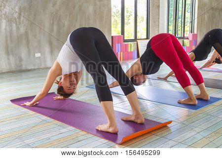 Group of young people relaxing and practicing in yoga