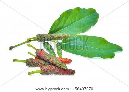 fresh long peppers with leaves isolated on white background