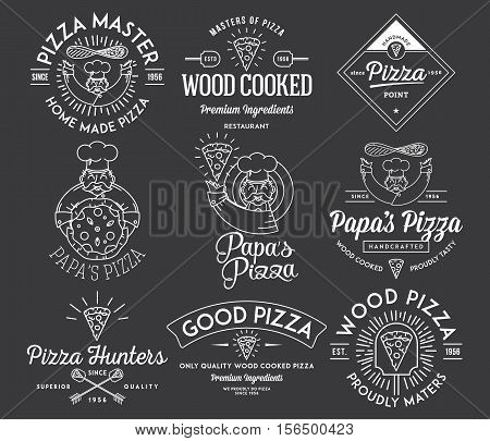 Vector handmade and wood cooked pizza icons and illustrations