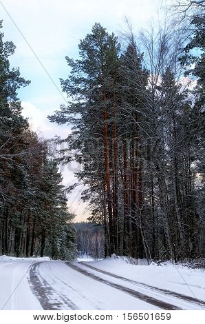 road in winter forest covered with snow