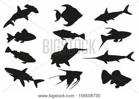 Fish set isolated on white background. Vector illustration