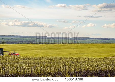 Small scale farming with tractor in field. Agricultural background with copy space.