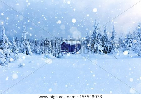 Lonely house in winter forest very nice