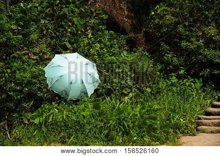 A woman holding an umbrella on the side of a path within the Wuyishan or Mount wuyi scenic area in Wuyi China in fujian province.
