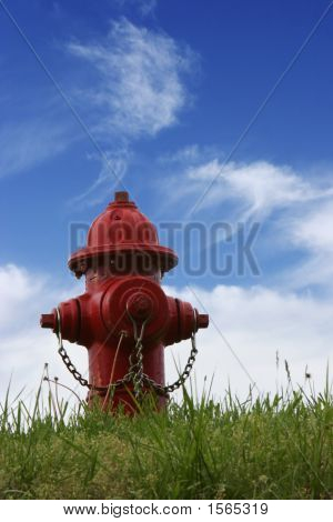 레드 소화
