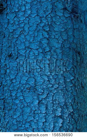 Blue tree bark as a fantastic skin and scales