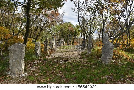 Autumn colours on display in the Carso karst limestone area of Friuli near Aurisina in north east Italy. This is part of a World War One walking trail as the area was then on the frontline.