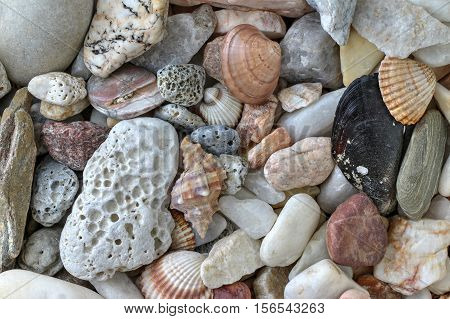 Detail of the minerals pebble stones and shells