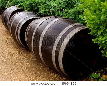 3 Botti di vino e folliage verde
