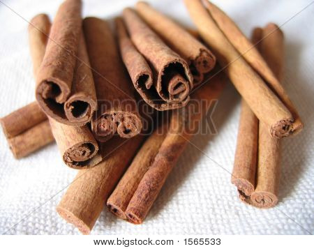 Canelle Spice