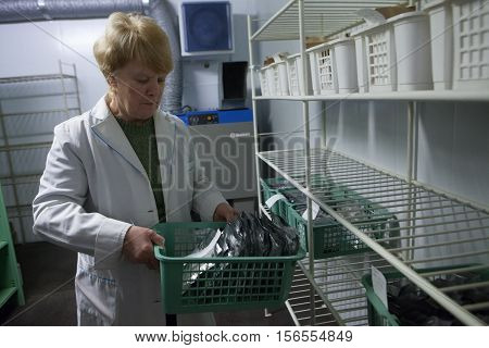 St. Petersburg Russia -22 October 2014: All-Russian Research Institute of Plant Vavilov. State Research Center. Catalog storage workers collections
