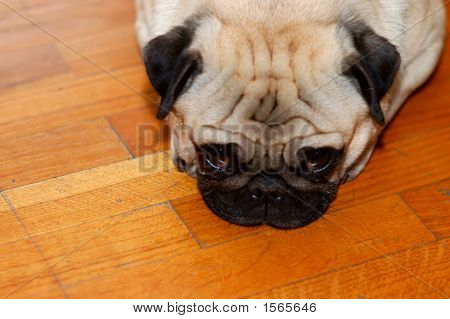 ฉันผิดหรือ