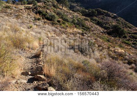 Lost Mine Trail, Big Bend National Park, Texas