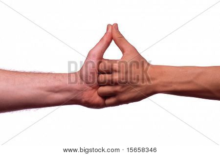 ruce