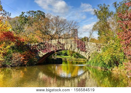 Central Park In Autumn In New York City
