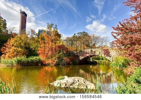 Central Park In Autumn In New York City