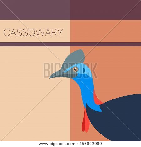 Vector image of the Cassowary flat postcard