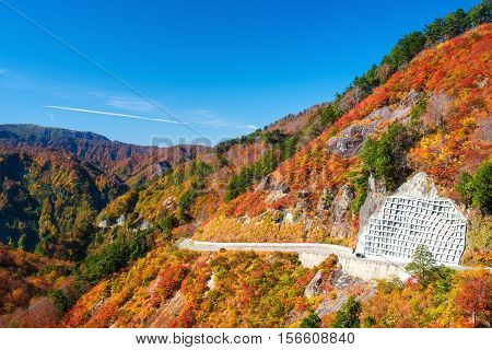 Autumn mountain in Toyoma, Hakusan Shirakawa-go White Road in the end of October.