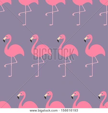 Seamless Pattern Flamingo Exotic tropical bird. Zoo animal collection. Cute cartoon character. Decoration element. Violet background. Flat design. Vector illustration.