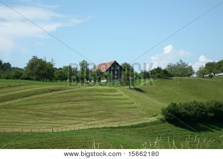 naturen i schweiziske