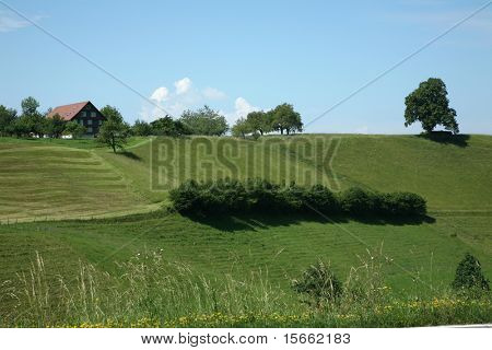 naturen i schweiziske