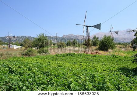 Windmills in Lasithi Plateau on Crete