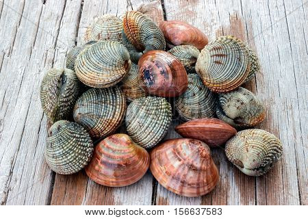 Fresh clams on a wooden table. Concept - healthy food.