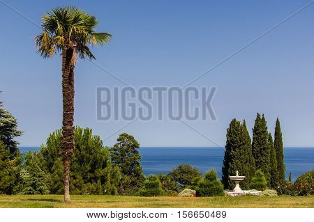 Tropical landscape on the background of the sea. Summer day in the south.