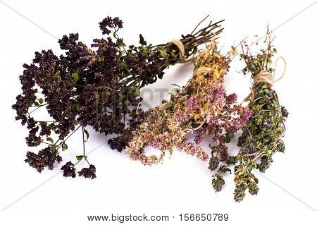 Dried Flowers and Stems of Thyme Studio Photo