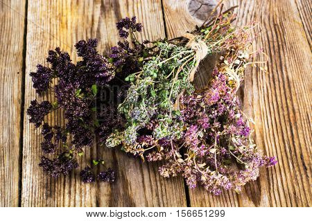 Dried Flowers and Stems of Thyme Studio Photo