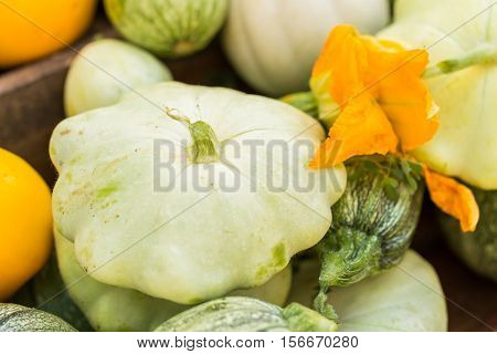 Farmers Market