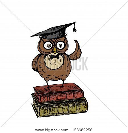 Cute owl with graduation hat standing on the old vintage books, isolated on white background, stock vector illustration