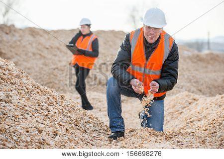 Paper mill factory workers standing on piles of little wood chips