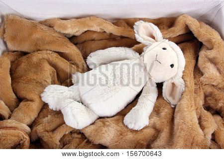 cute sheep toy