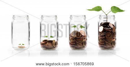 money growing in deposit concept. isolated on white background