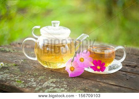 Green Tea In Beautiful Cup