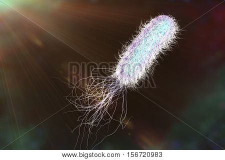 Bacterium Pseudomonas aeruginosa on colorful background, antibiotic-resistant nosocomial bacterium, 3D illustration. Illustration shows polar location of flagella and presence of pili on the bacterial surface