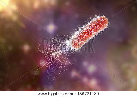 Bacterium Pseudomonas aeruginosa on colorful background, antibiotic-resistant nosocomial bacterium, 3D illustration. Illustration shows polar location of flagella and presence of pili on the bacterial surface