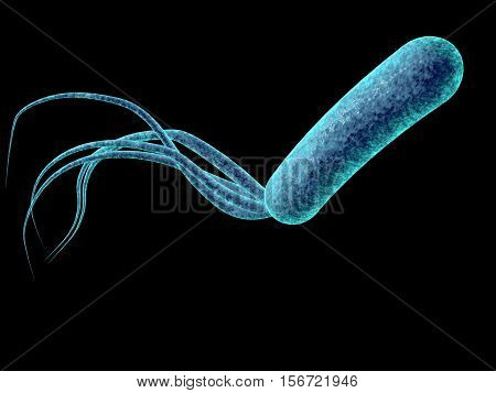 Bacterium Pseudomonas aeruginosa on colorful background, antibiotic-resistant nosocomial bacterium, 3D illustration. Illustration shows polar location of flagella and presence of pili on the bacterial surface