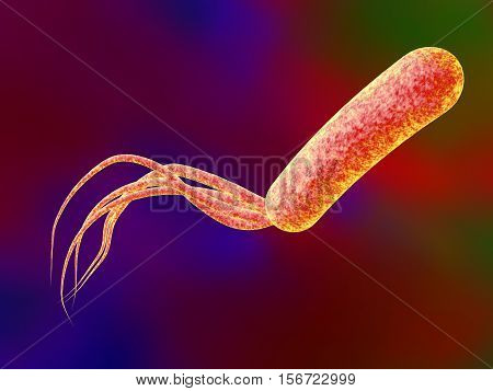 Bacterium Pseudomonas aeruginosa on colorful background, antibiotic-resistant nosocomial bacterium, 3D illustration. Illustration shows polar location of flagella and presence of pili on the bacterial surface