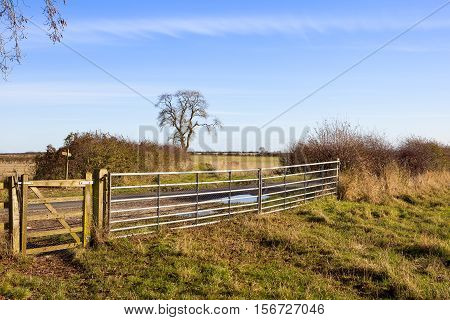 Metal Gate With Bridleway
