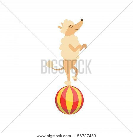 Circus Trained Poodle Dog Animal Artist Performing Balancing On The Ball Stunt For The Circus Show. Colorful Cartoon Illustration From The Collection Of Entertainment Performers And Circus Arena Vector Drawings