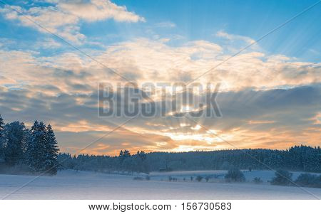Frosty early morning winter panoramic scenery with rising sun sunbeam over frozen snowfield and snow-covered forest