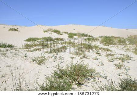 The Dunes of Corrubedo Natural Park in Galicia Spain