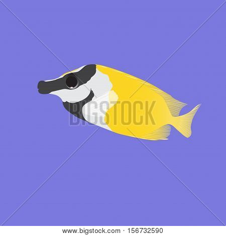 Fish Fox (vulpinus, Siganus)