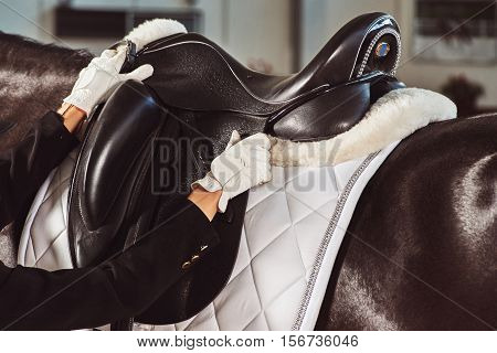 woman jockey with his horse in uniform for Dressage. close up