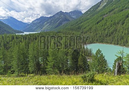 Mountain lakes in the valley of the river Kucherla. Altai Mountains Russia. Sunny summer day.