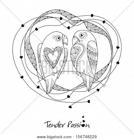 Vector cute parrots couple in contour style. Outline birds and ornate frame with hearts isolated on white background. Design elements and holiday symbols for Valentine day and coloring book.