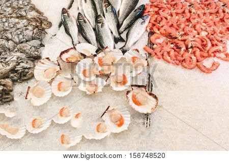 Venetian fish market - fish and prawns. The Rialto fish market is located alongside the Grand Canal near the Rialto Bridge - Venice, Italy